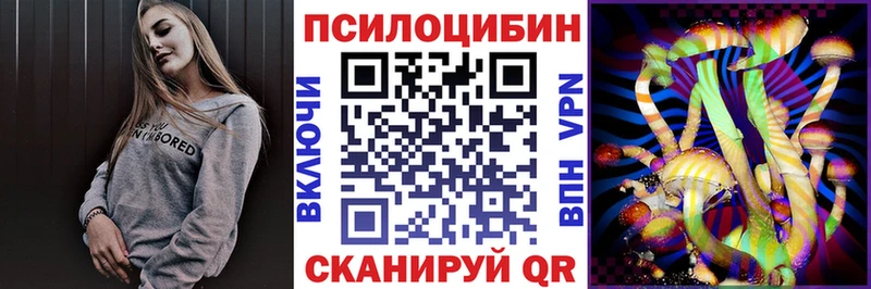 Псилоцибиновые грибы Cubensis  Купить  Тверь 